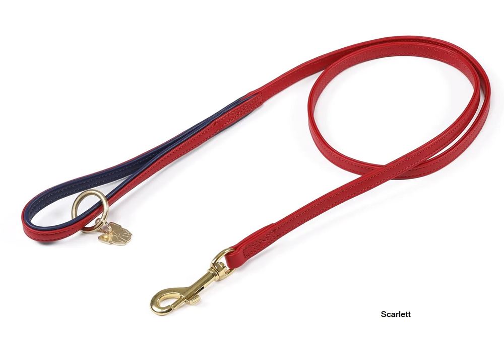 Shires Digby & Fox Padded Leather Dog Lead (110cm x 1.5cm)