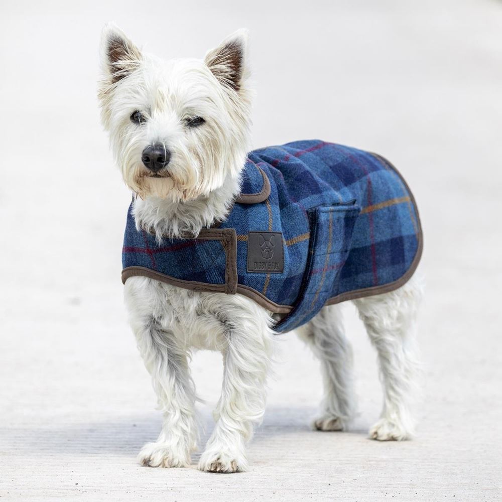 Shires Digby & Fox Tweed Dog Coat (XXXXS - S) - (Navy Tweed)