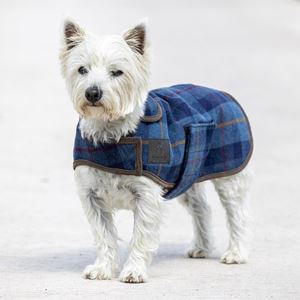 Shires Digby & Fox Tweed Dog Coat (XXXXS - S) - (Navy Tweed)