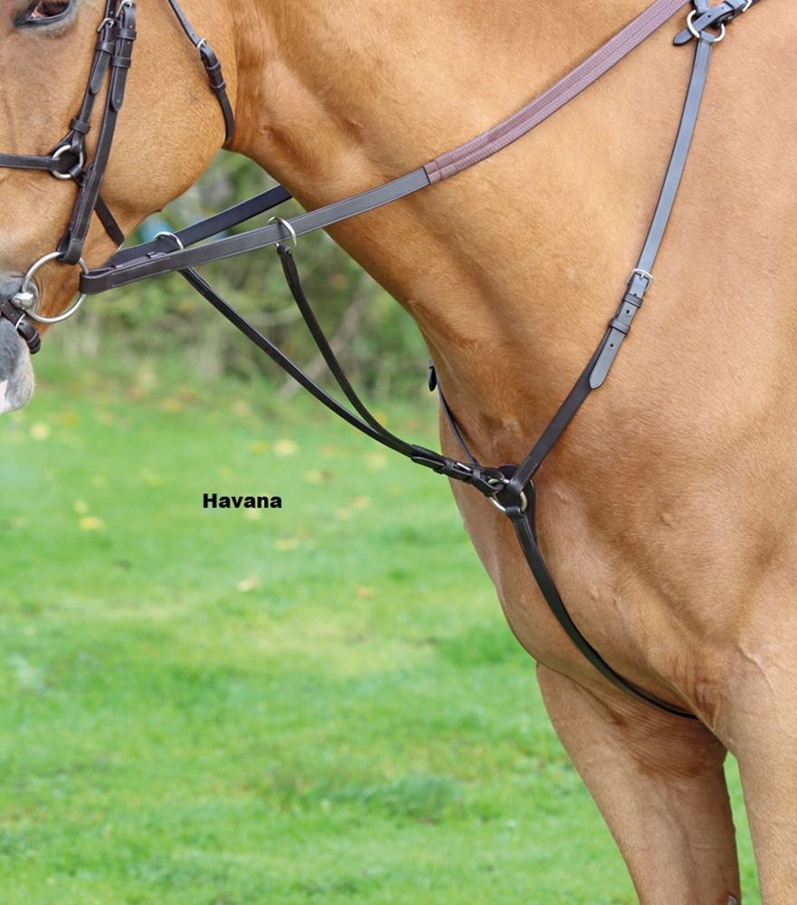 Shires Velociti GARA (Aviemore) Hunt Weight Breastplate