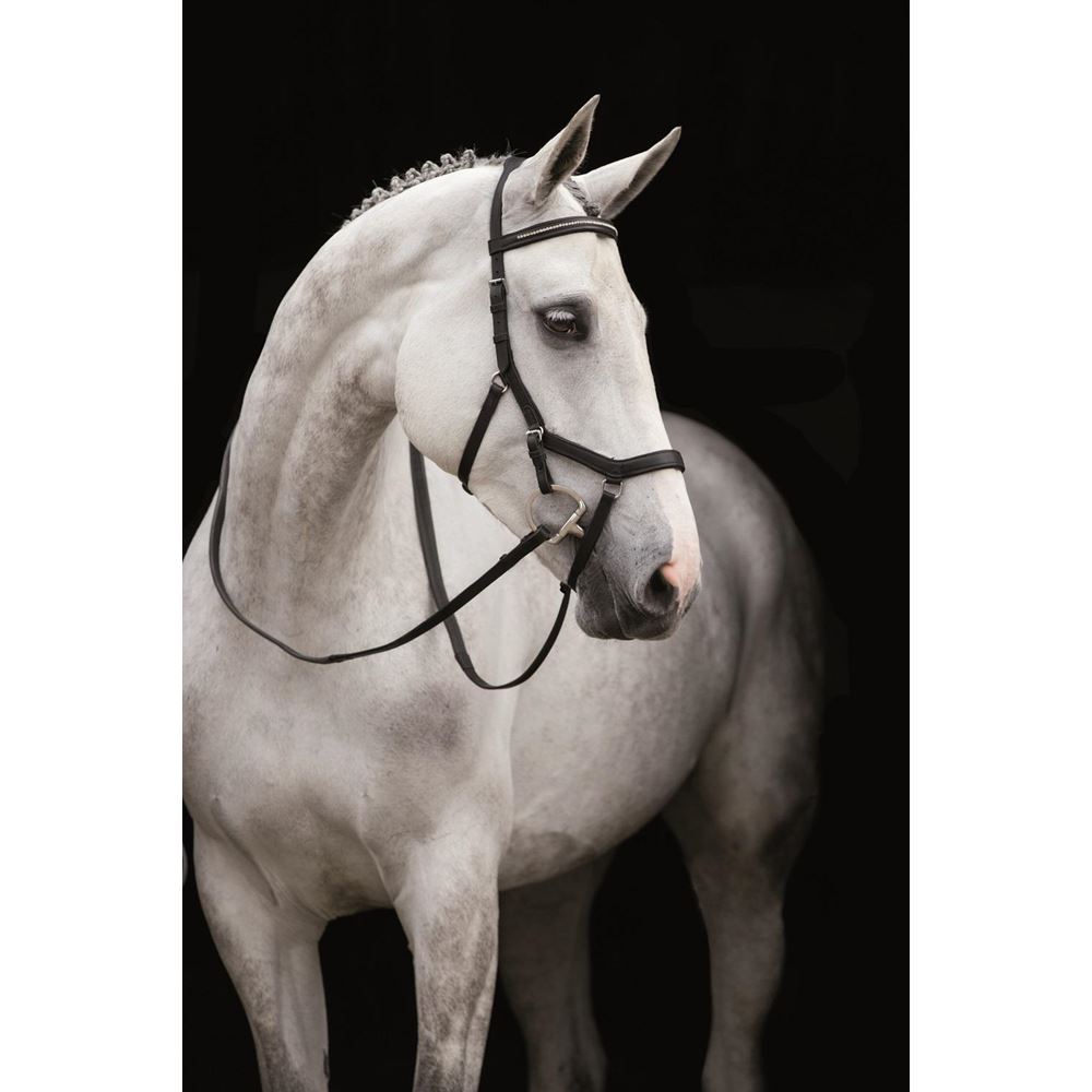 Rambo Micklem Diamante Competition Bridle Bridle Sedgwick English Leather (No reins)