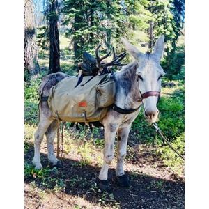 Cavallo Long Ear Boot for Donkeys (Pair)