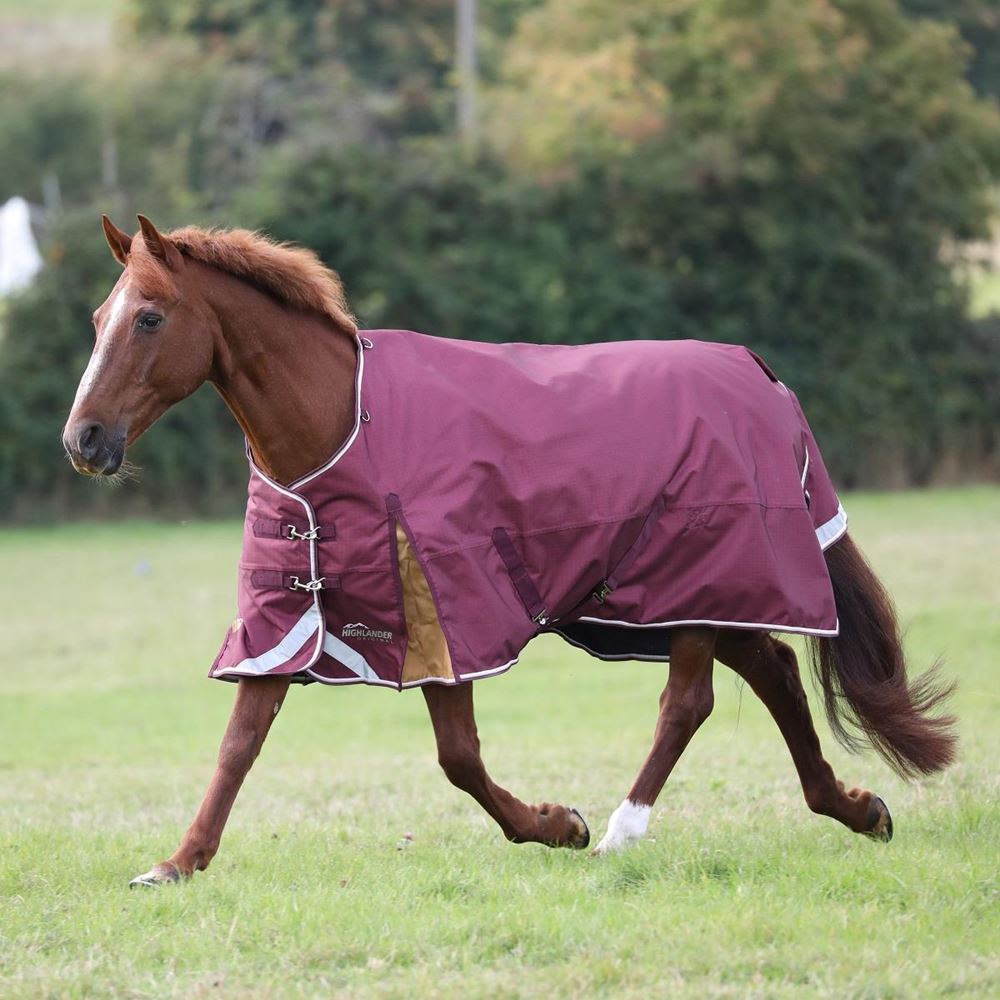 Shires Highlander Plus 100 Turnout Rug (Maroon)