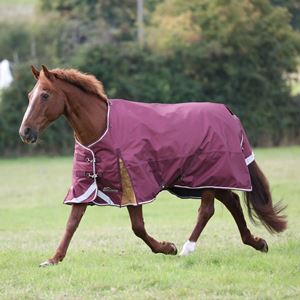 Shires Highlander Plus 100 Turnout Rug (Maroon)