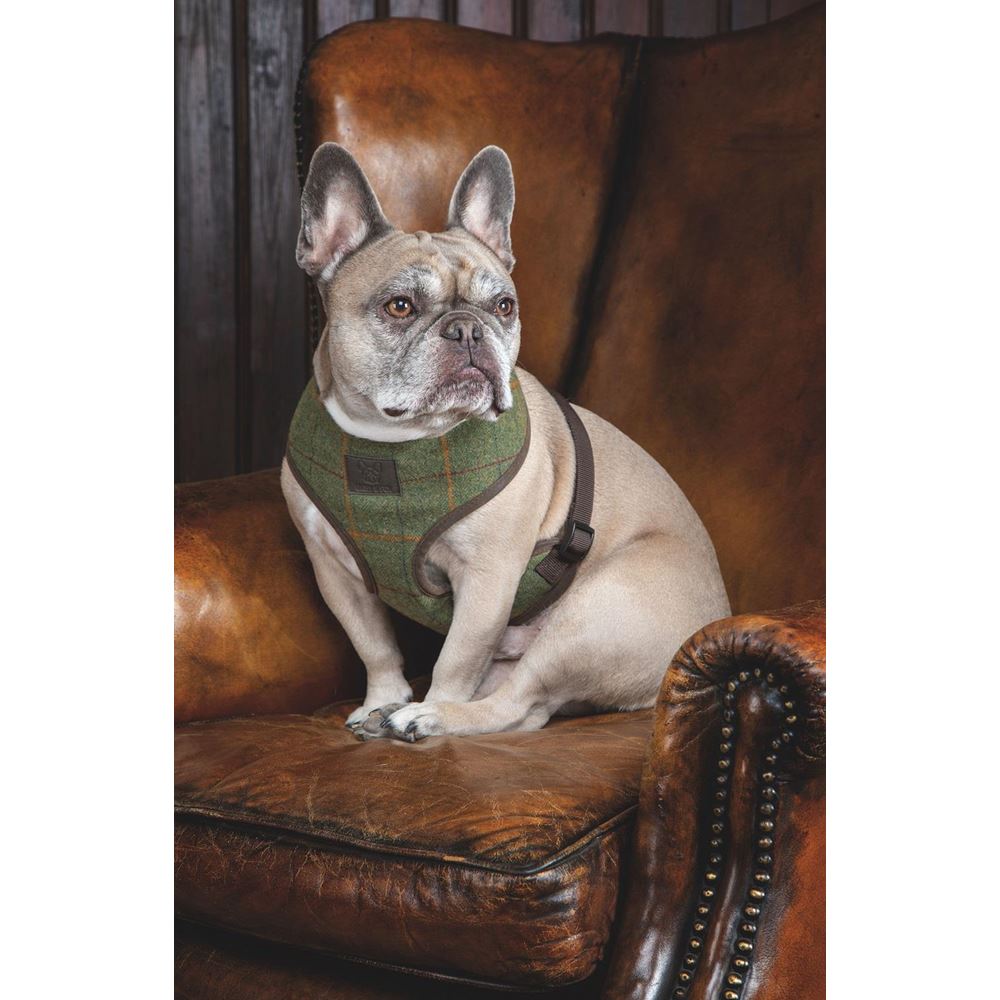 Shires Digby & Fox Tweed Dog Harness (XS, S)
