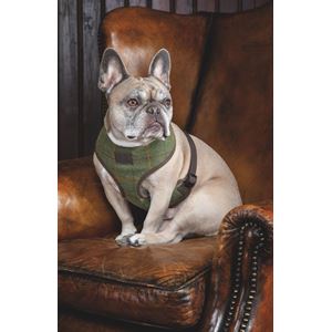 Shires Digby & Fox Tweed Dog Harness (XS, S)