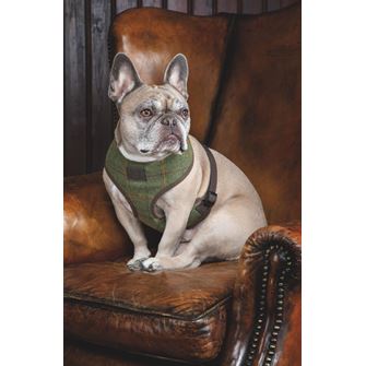 Shires Digby & Fox Tweed Dog Harness (M) - (Red/Yellow/Blue Check)