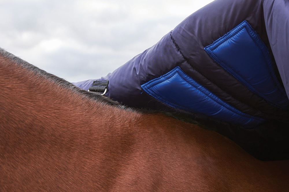 Weatherbeeta Comfitec Plus Dynamic Turnout High Neck - 100g (Navy/Forest Green)