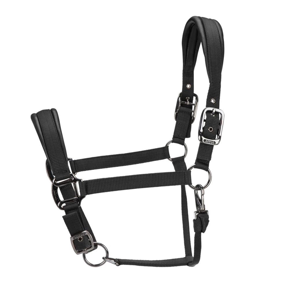 Shires ARMA Pro Padded Headcollar (Black)