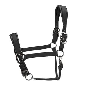 Shires ARMA Pro Padded Headcollar (Black)