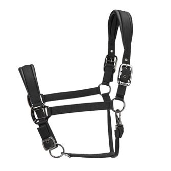 Shires ARMA Pro Padded Headcollar (Black)