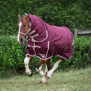 Gallop TROJAN Xtra Duraproof 100g Turnout Combo (Burgundy with Beige/White bindings)
