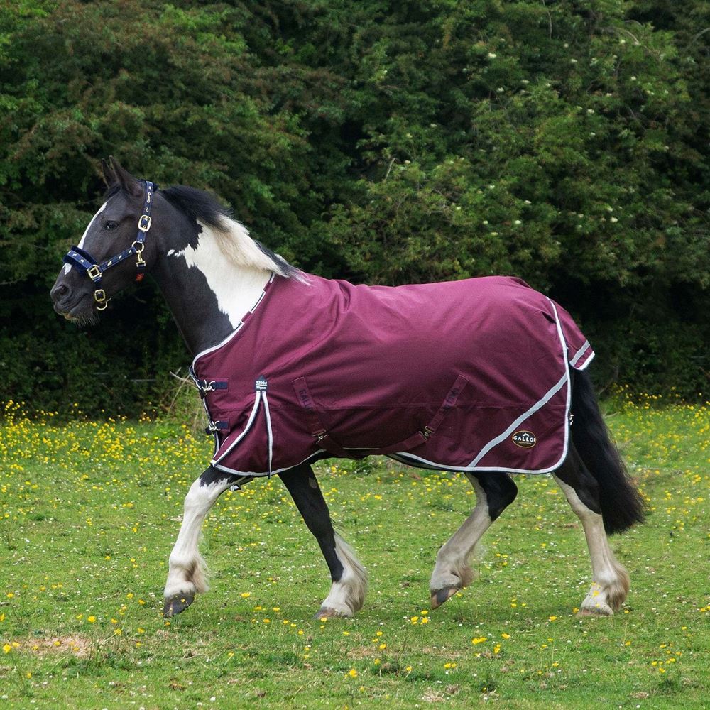 Gallop Trojan Xtra DURAPROOF 50g Standard Neck Turnout Rug (Burgundy/White/Purple)
