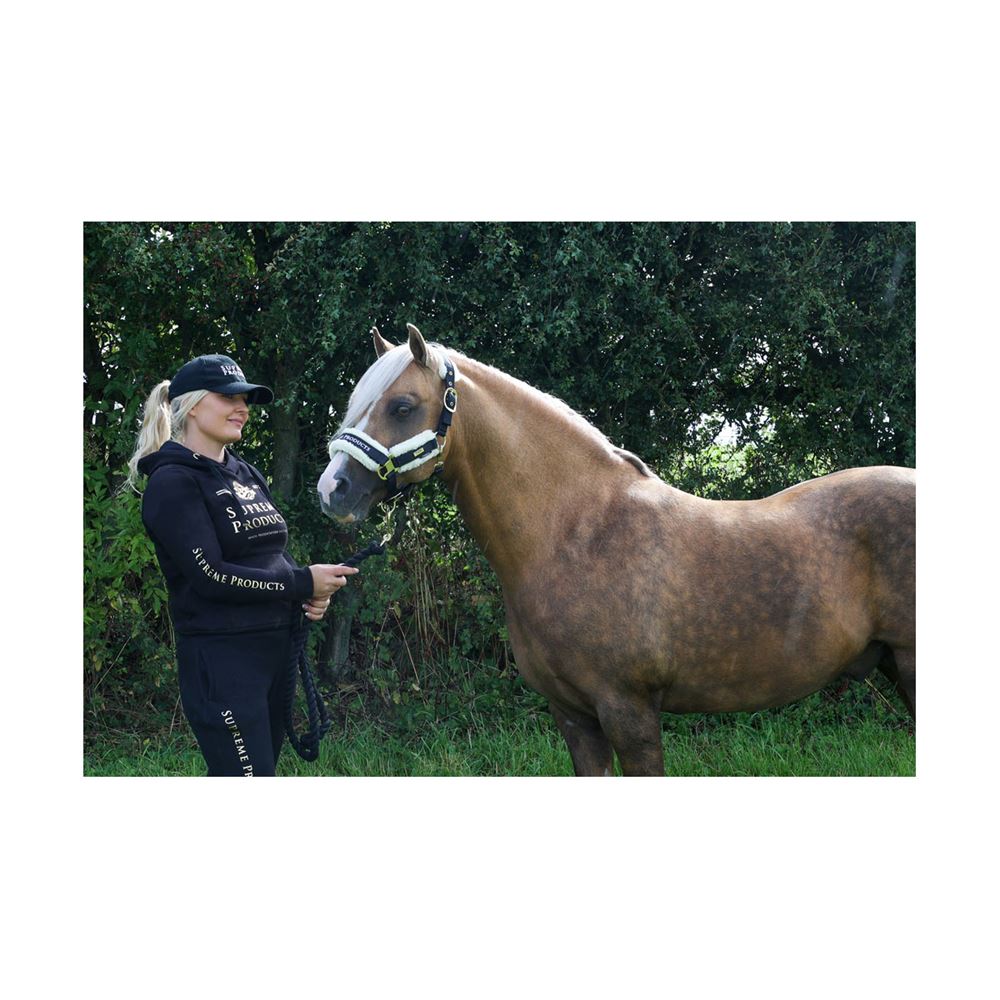 Supreme Products Active Show Rider Hoodie (Black/Gold)