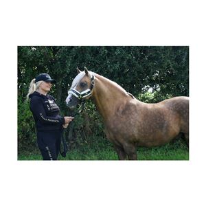 Supreme Products Active Show Rider Hoodie (Black/Gold)