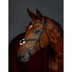 Weatherbeeta Collegiate Comfitec Opulux Plain Grackle Bridle