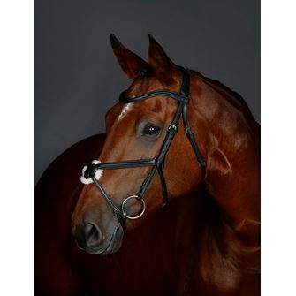 Weatherbeeta Collegiate Comfitec Opulux Plain Grackle Bridle