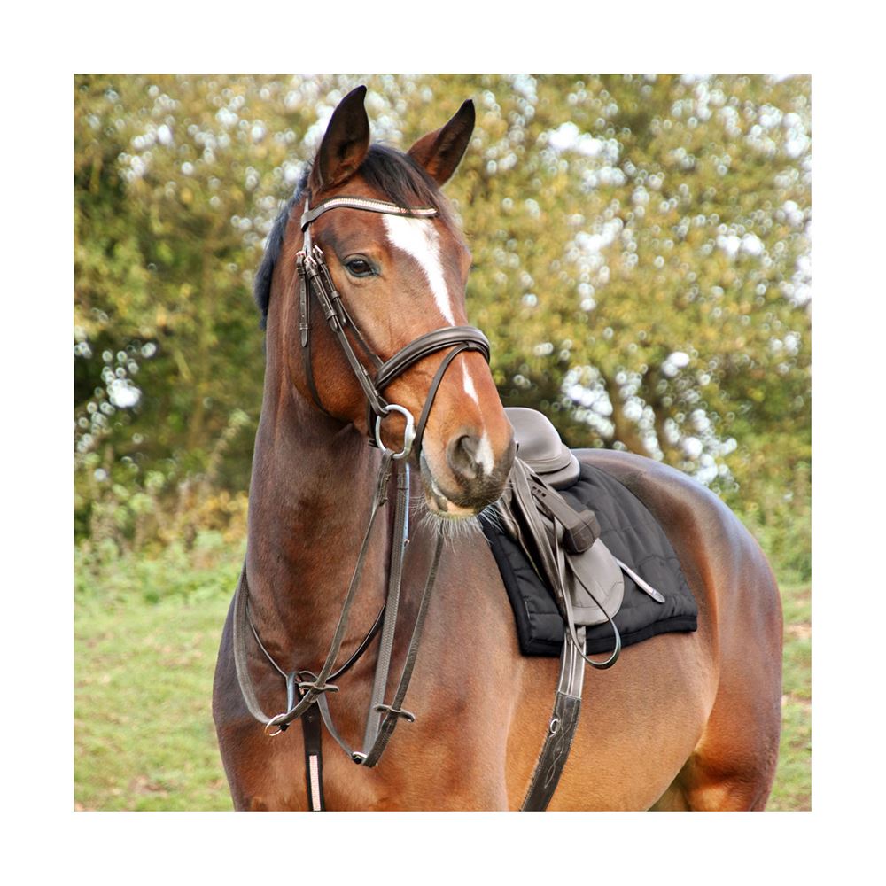 Hy Equestrian Rosciano Rose Gold Stirrup Leathers (Black)