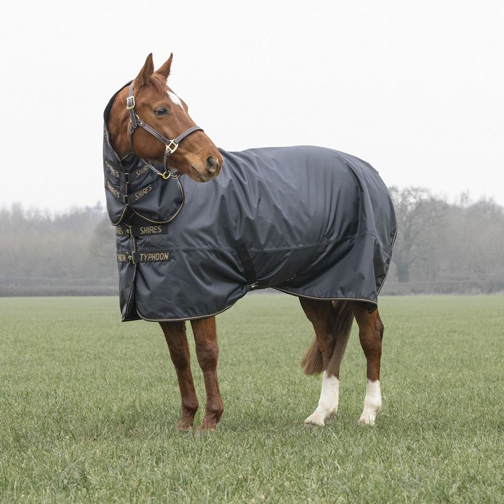 Shires Typhoon 50 Combo Lite Turnout Rug (Black)