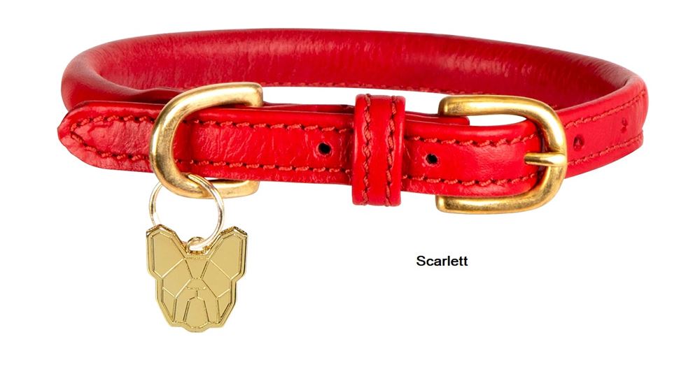 Shires Digby & Fox Rolled Leather Dog Collar (XXXS - XXS)