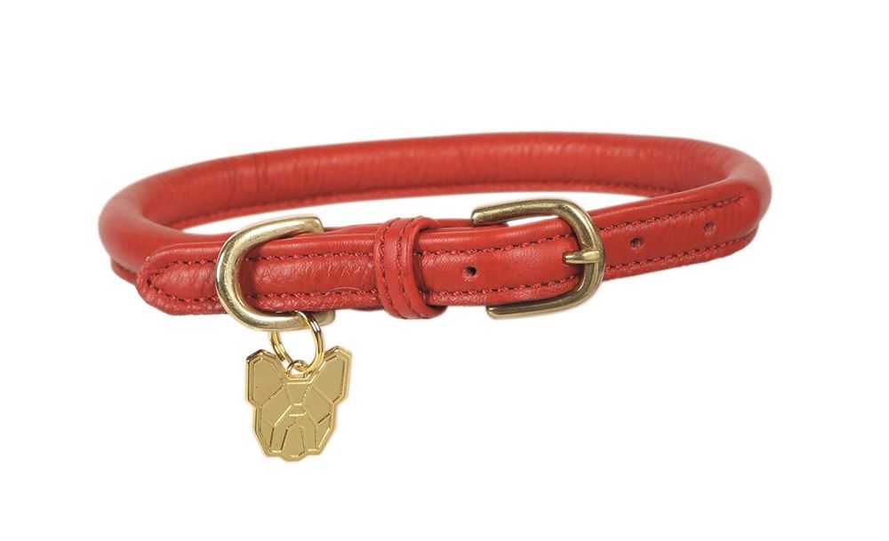 Shires Digby & Fox Rolled Leather Dog Collar, XL to XXL