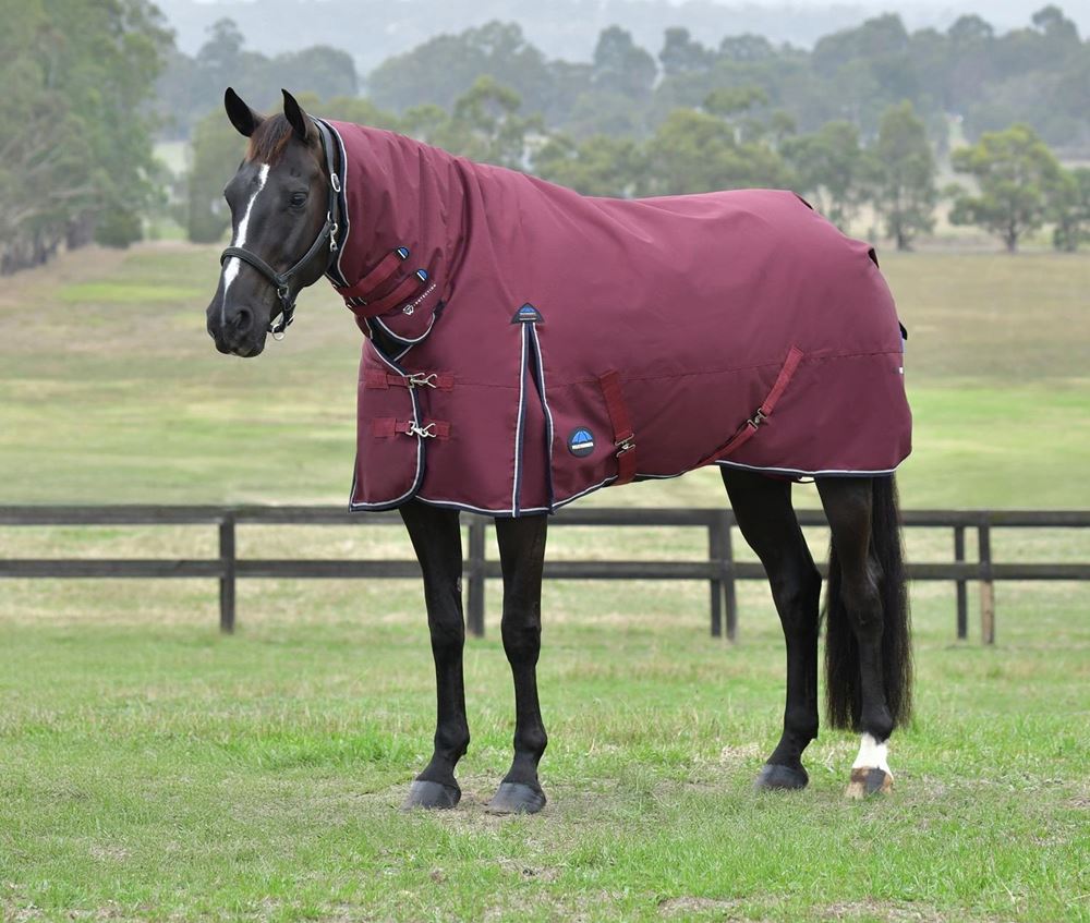 Weatherbeeta Comfitec Essential Turnout Combo - 360g (Burgundy/Navy)