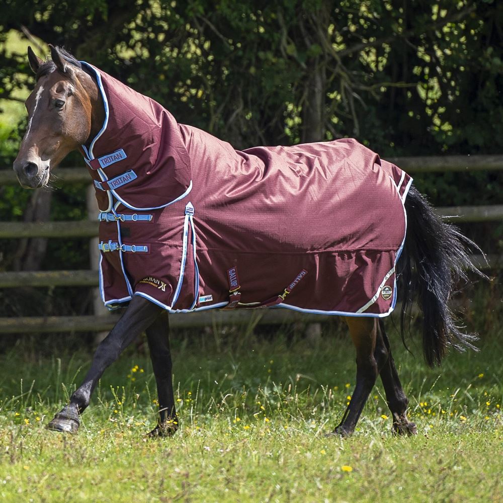 Gallop TROJAN Xtra Duraproof 350g Turnout Combo (Burgundy with Sky Blue/White bindings)