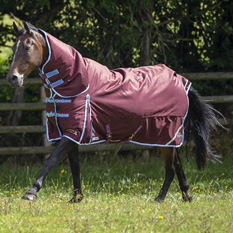 Gallop TROJAN Xtra Duraproof 350g Turnout Combo (Burgundy with Sky Blue/White bindings)