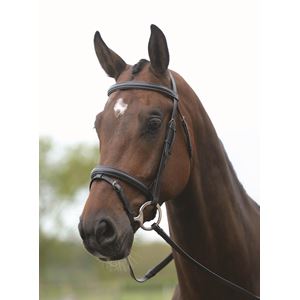 New Kincade Flash Bridle with Reins