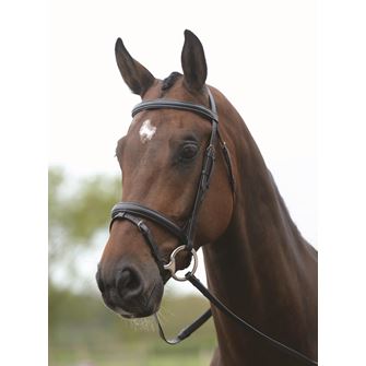 Kincade Flash Bridle with Reins