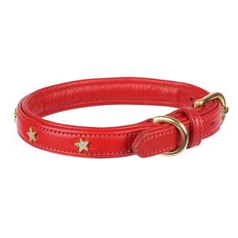 Shires Digby & Fox Star Dog Collar - S, M (Scarlett)