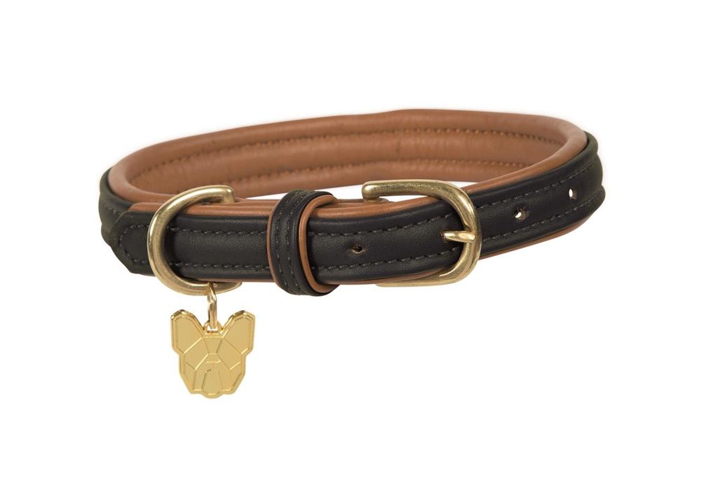 Shires Digby & Fox Padded Leather Dog Collar XL - XXL