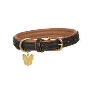 Shires Digby & Fox Padded Leather Dog Collar XL - XXL