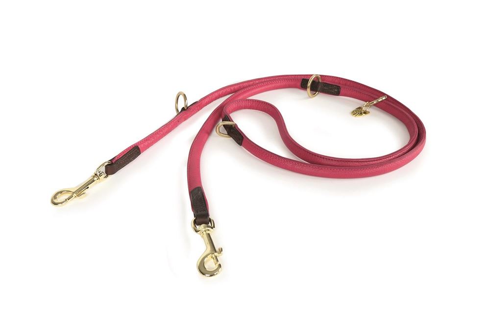 Shires Digby & Fox Rolled Leather Dog Training Lead