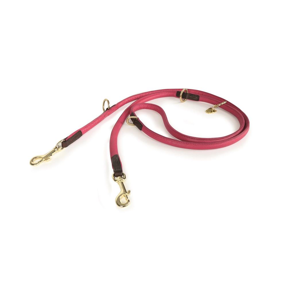 Shires Digby & Fox Rolled Leather Dog Training Lead