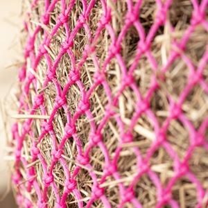 Hy Equestrian Slow Flow XL Haynet (Pink)