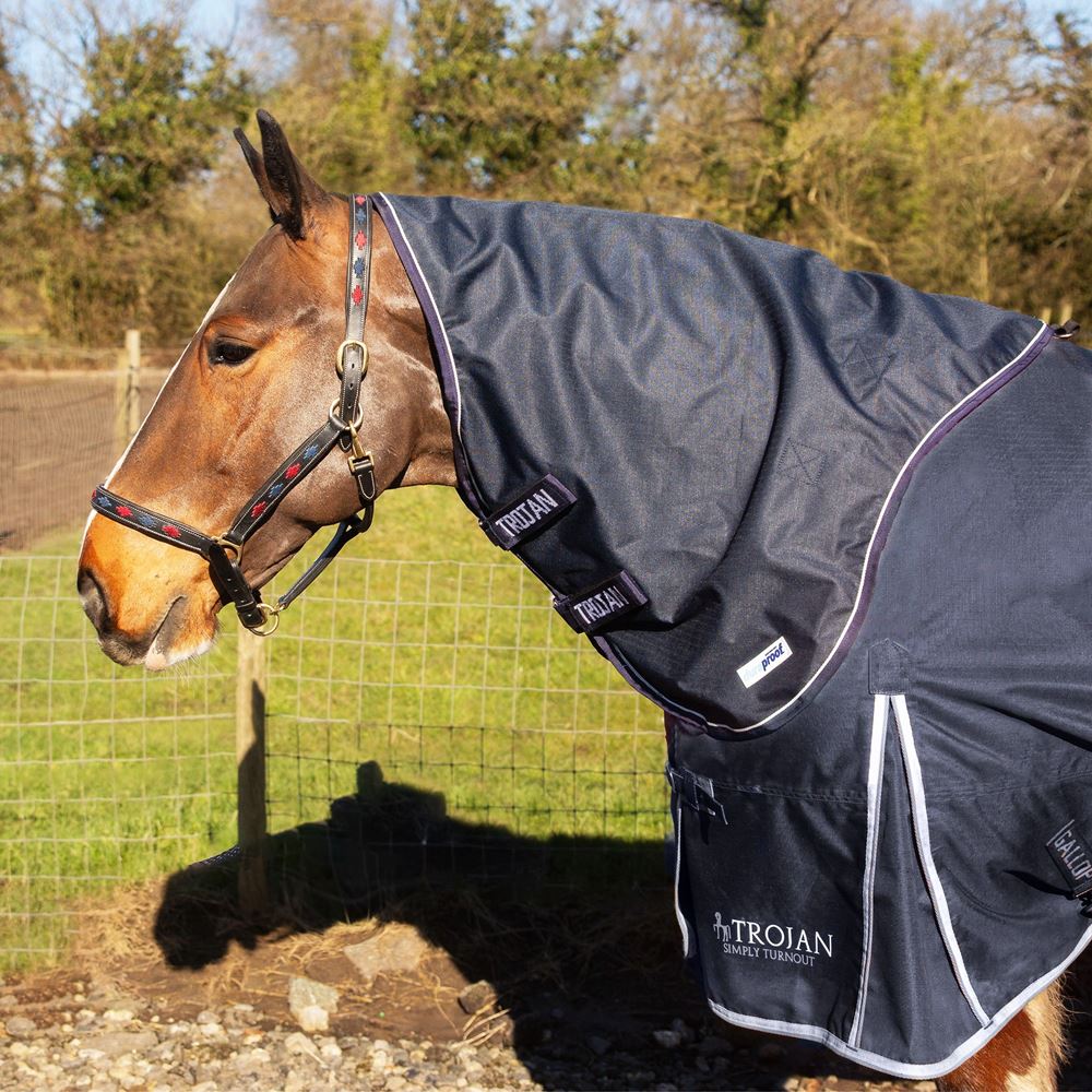 Gallop Trojan DURAPROOF 5 Point Lightweight Neck Cover (Navy)