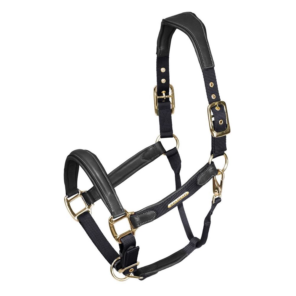Shires Velociti Lusso Padded Leather Headcollar (Black)