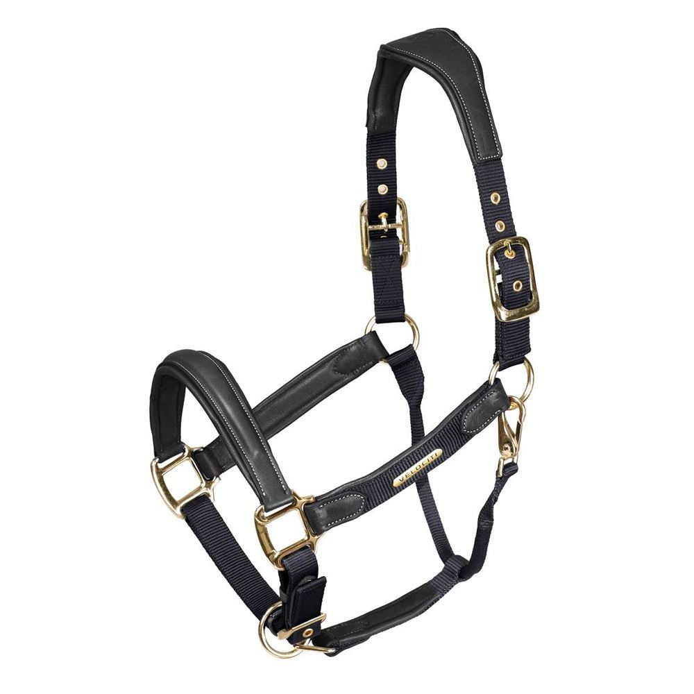 Shires Velociti Lusso Padded Leather Headcollar (Black)