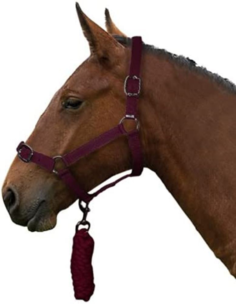 Gallop Headcollar & Leadrope Set (Burgundy)