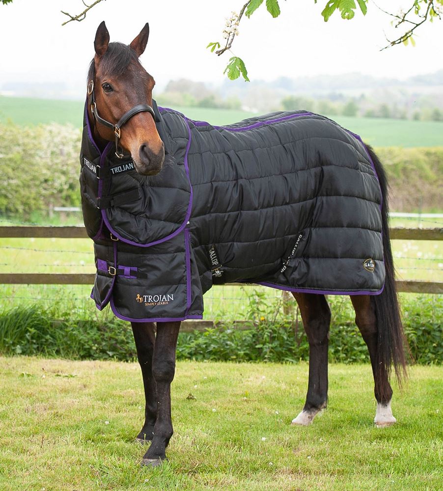 Gallop Trojan Dual 200 Stable Rug & Neck Set (Black/Purple)