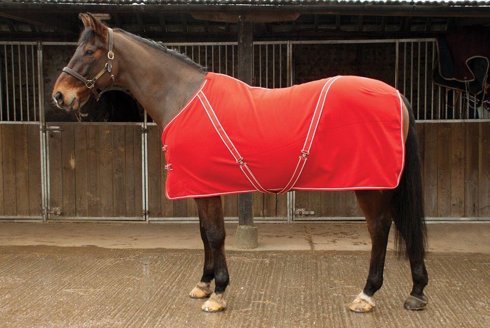 Rhinegold Comfey Fleece Rug (Navy)