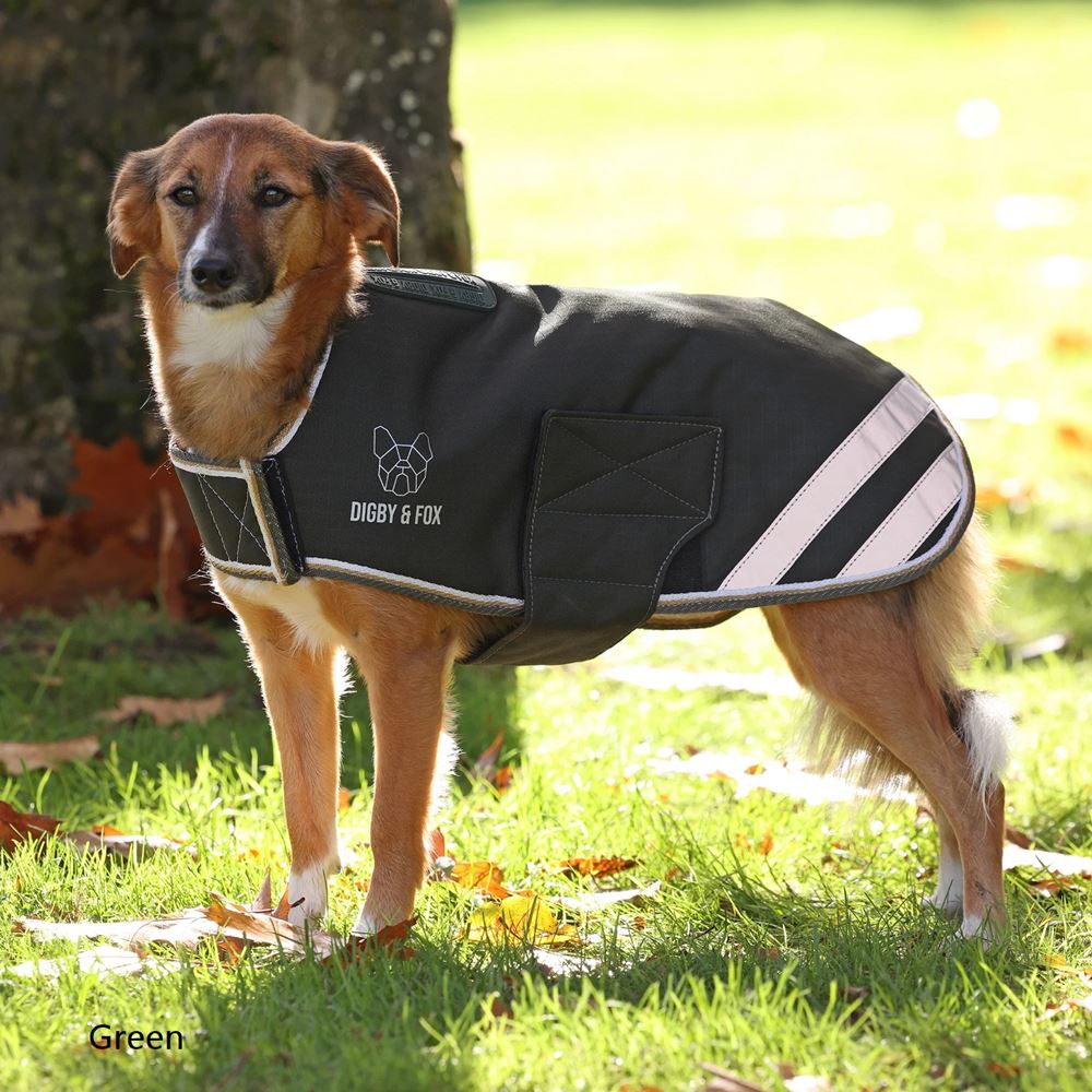 Shires Digby & Fox Waterproof Dog Coat (M)