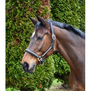 Rhinegold Bellagio Leather Headcollar With Brass Clincher Detailing