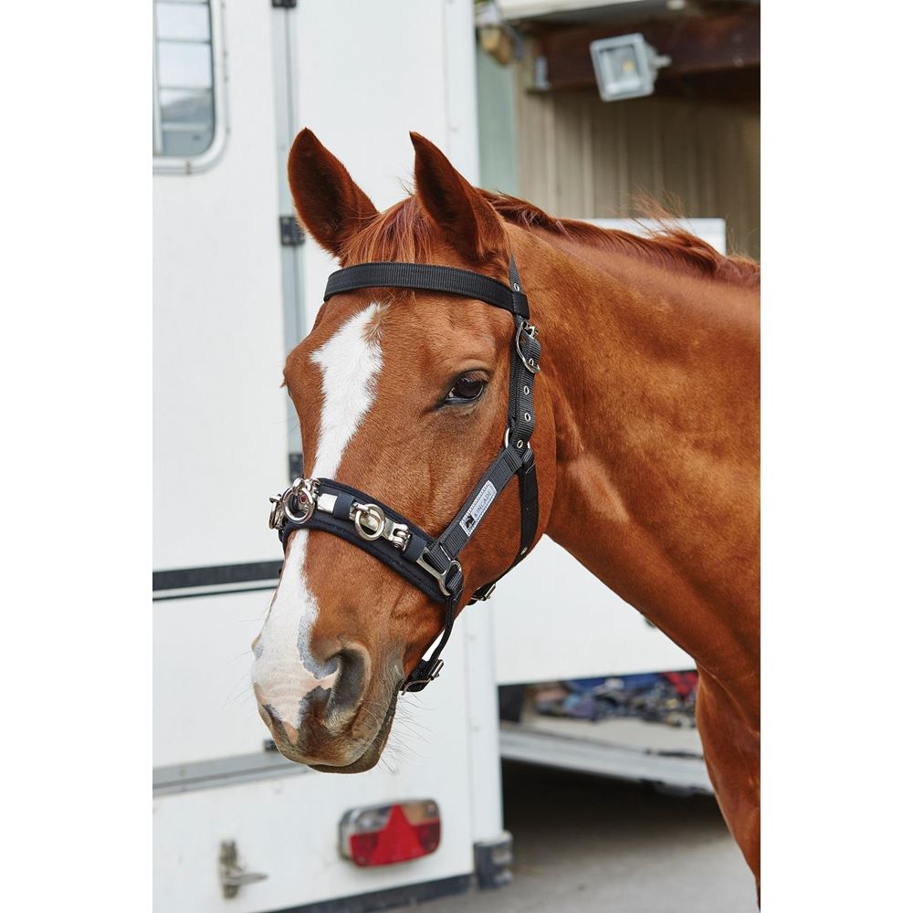 Kincade Co-Ordinate Lunge Cavesson