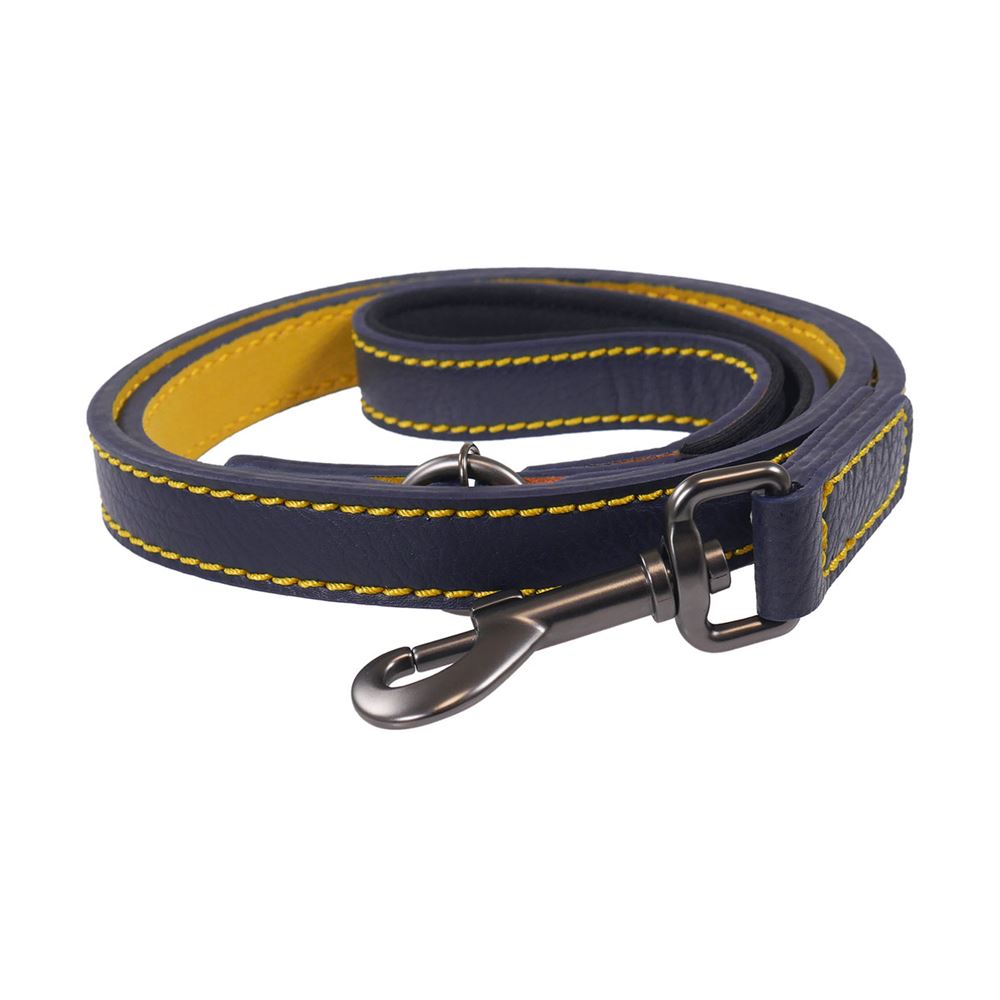 Joules Leather Dog Lead