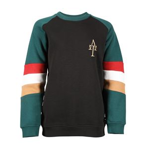 Shires Aubrion Team Sweatshirt - Young Rider (Black)