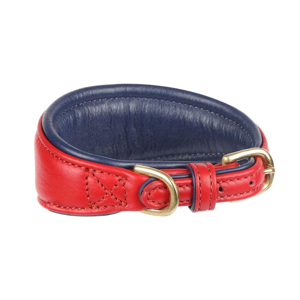 Shires Digby & Fox Padded Leather Greyhound Collar - M, L (Scarlett)