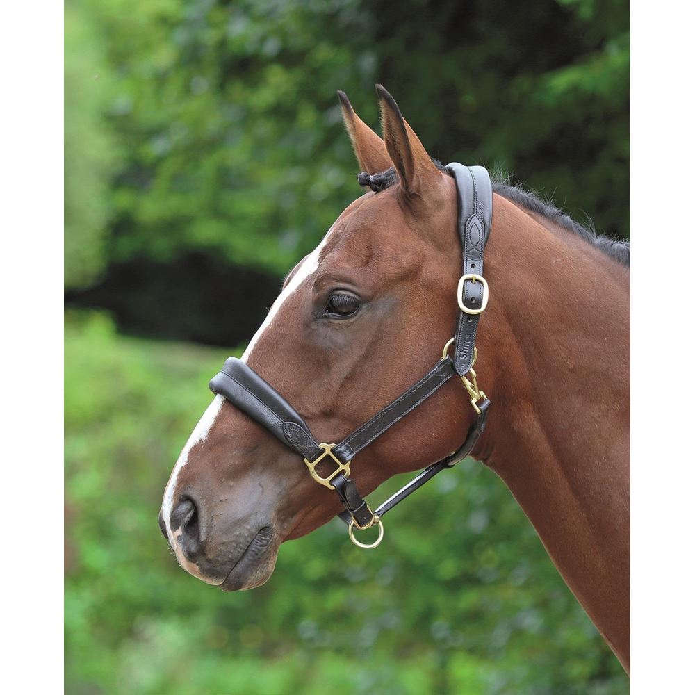 Shires Blenheim Leather Cushioned Travel Headcollar