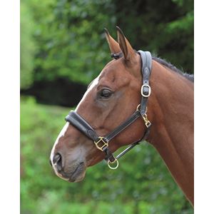 Shires Blenheim Leather Cushioned Travel Headcollar